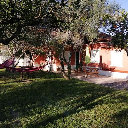 Casa Das Laranjeiras E Parque Infantil أزيتاوْ المظهر الخارجي الصورة