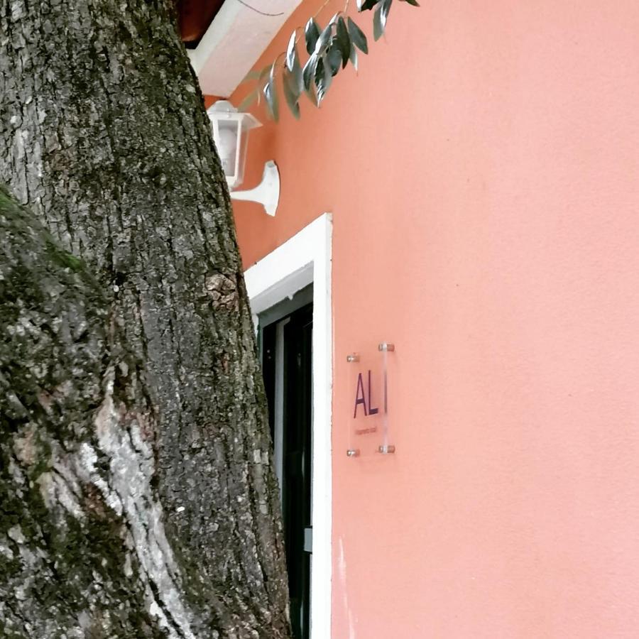 Casa Das Laranjeiras E Parque Infantil أزيتاوْ المظهر الخارجي الصورة