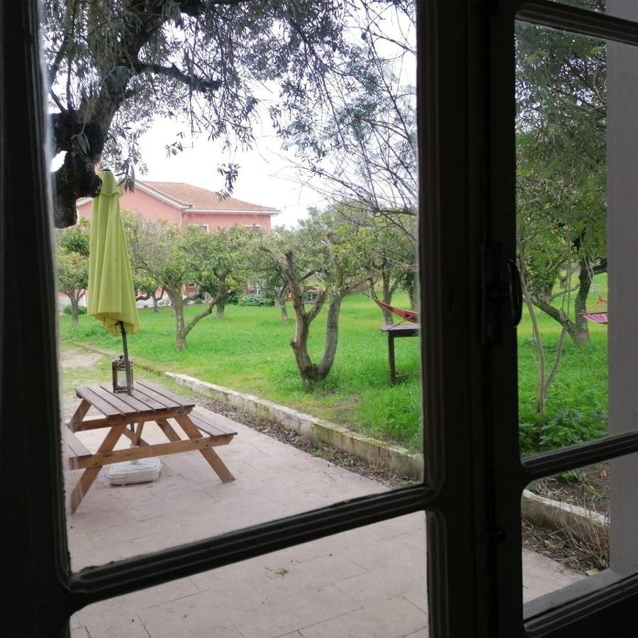 Casa Das Laranjeiras E Parque Infantil أزيتاوْ المظهر الخارجي الصورة