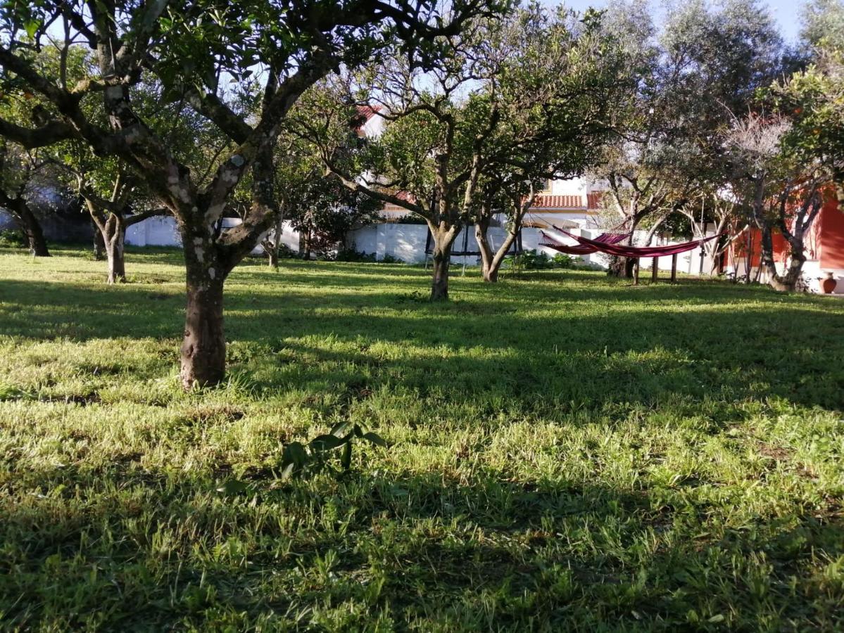 Casa Das Laranjeiras E Parque Infantil أزيتاوْ المظهر الخارجي الصورة