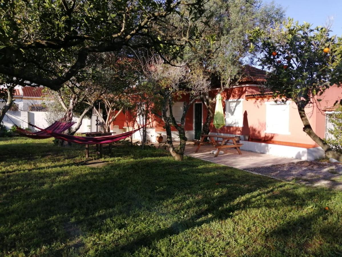 Casa Das Laranjeiras E Parque Infantil أزيتاوْ المظهر الخارجي الصورة